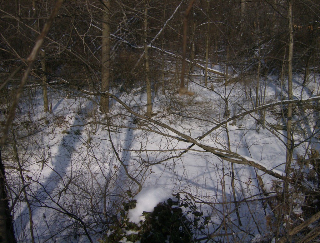 Winter View at HP